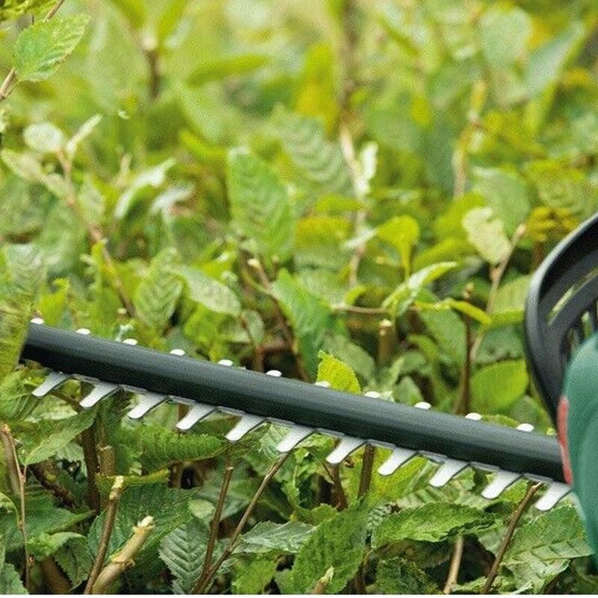 Voir la diapositive 5 : BOSCH Taille-haies sans fil 18V BOSCH UniversalHedgeCut 18V-50 avec 1 batterie 2,5Ah