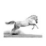 Voir la diapositive 2 : Paris Prix Papier Peint  White Gallop
