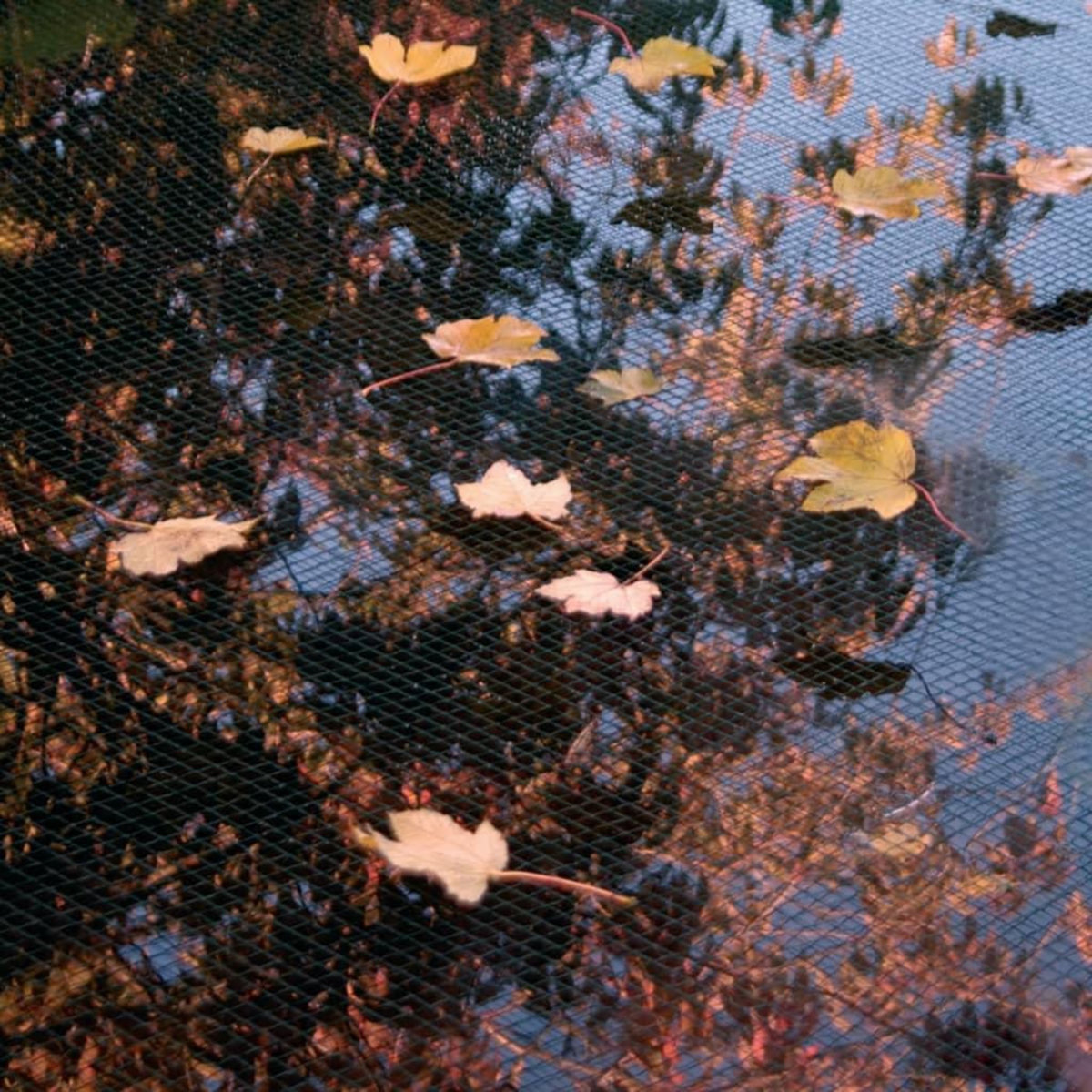 Ubbink Ubbink Filet de couverture de bassin PE 10x6 m