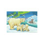 Voir la diapositive 3 : RAVENSBURGER Ravensburger - Jigsaw Puzzle Young Animals From Around the World, 2x12 pcs. 50956