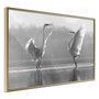 Voir la diapositive 1 : Paris Prix Affiche Murale Encadrée  Black and White Herons