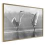 Voir la diapositive 1 : Paris Prix Affiche Murale Encadrée  Black and White Herons