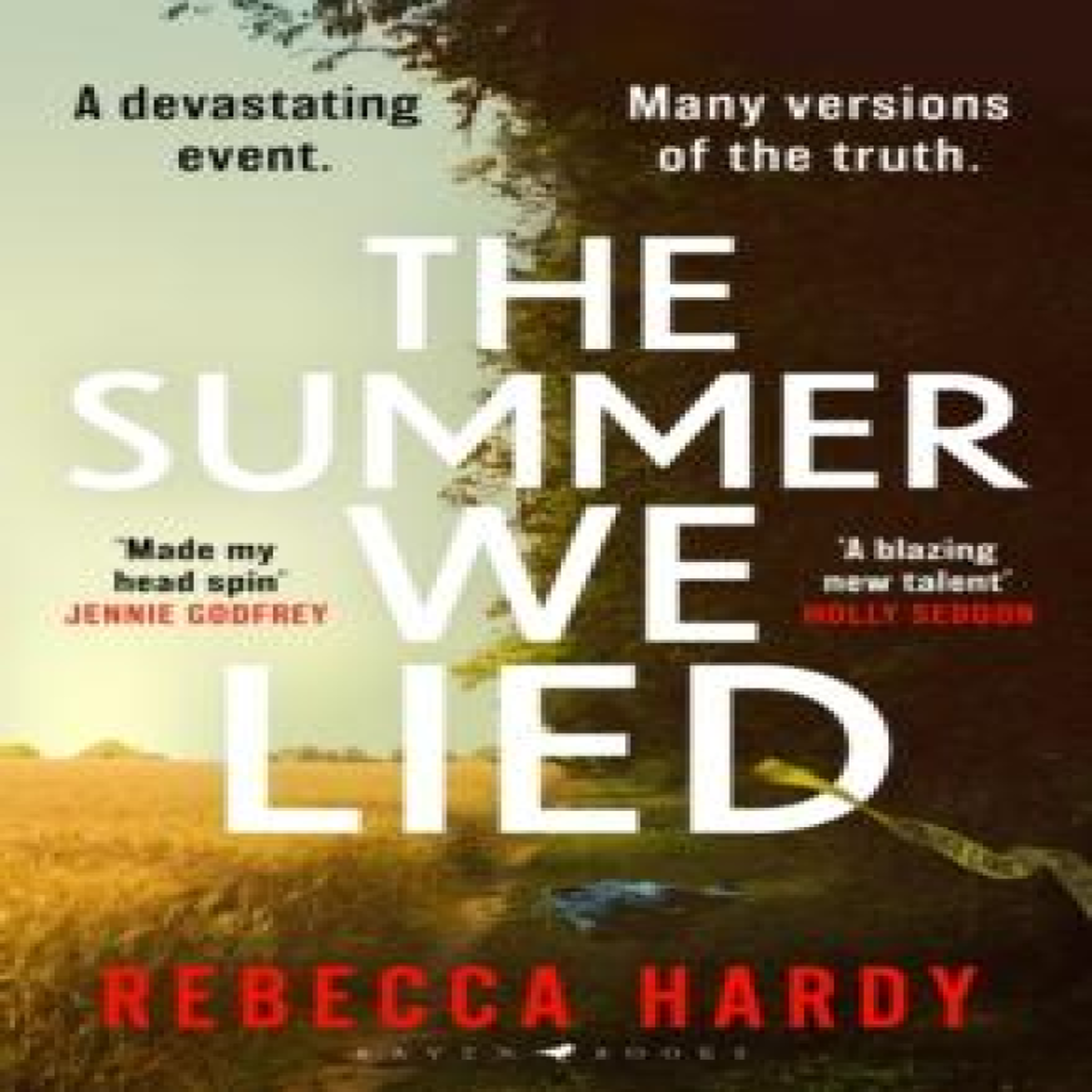 LIVRES The Summer We Lied : An atmospheric, twisty thriller from a blazing new talent