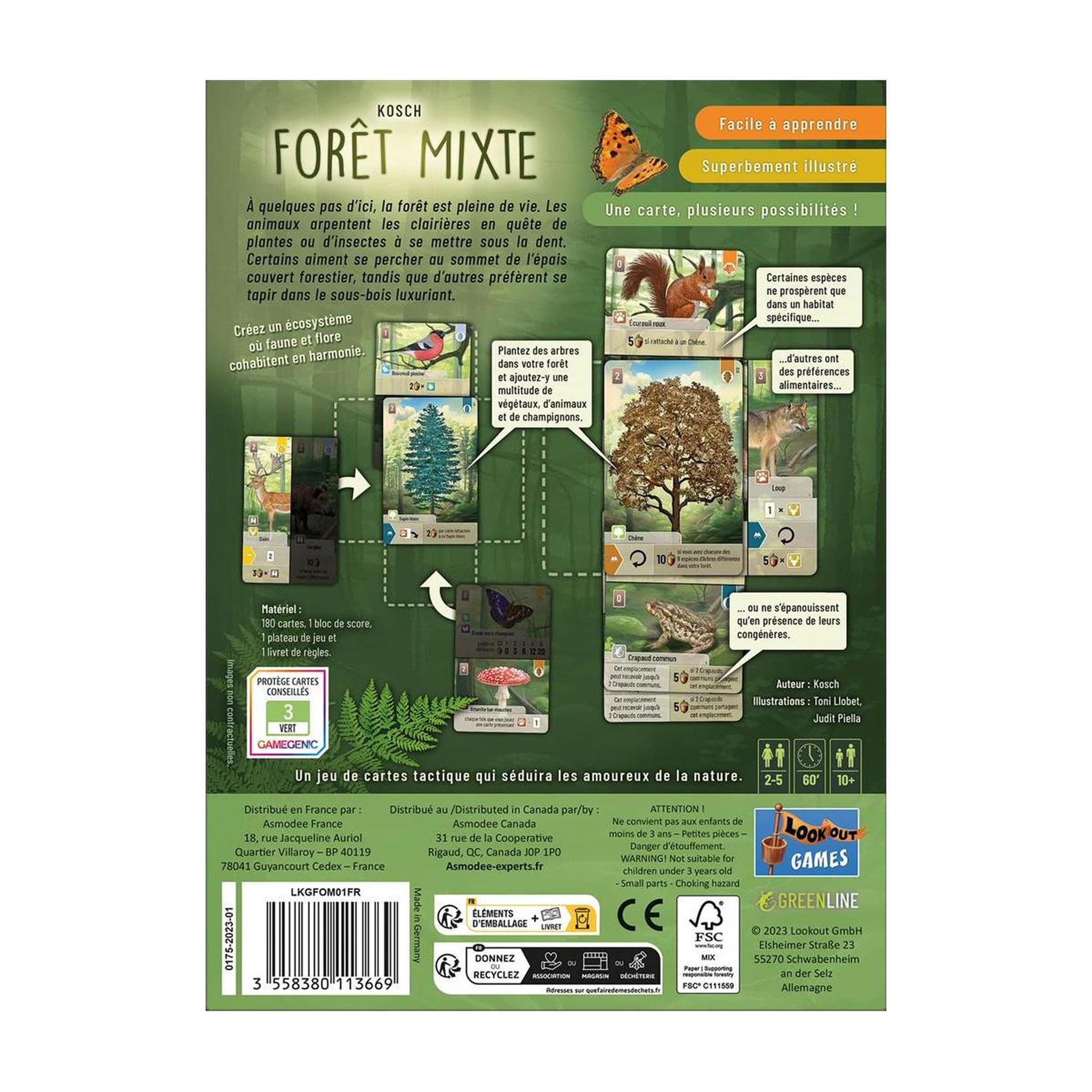 Voir la diapositive 3 : Asmodee Foret mixte - Jeu de societe