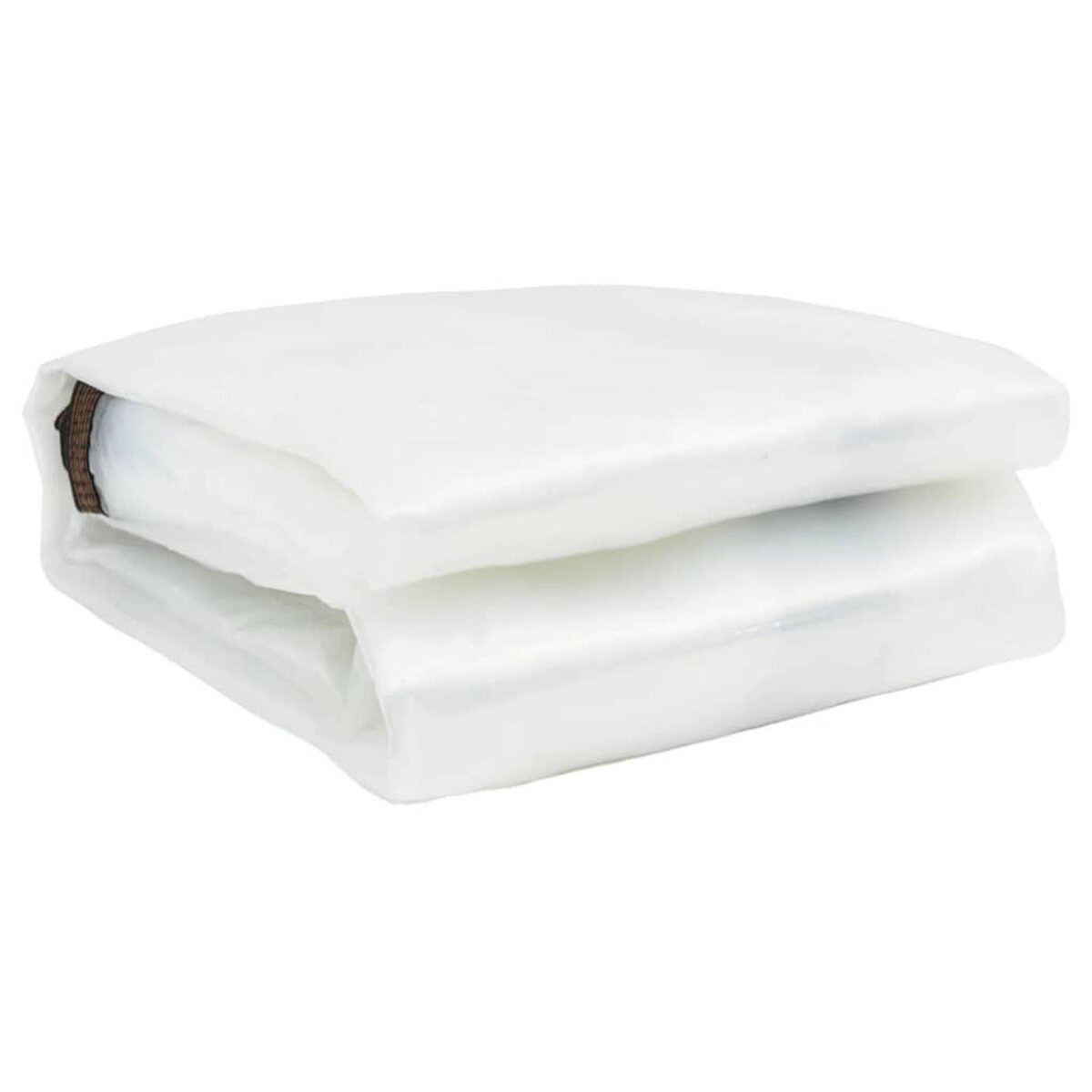 VIDAXL Bache transparente avec œillets 8x8 m polyethylene