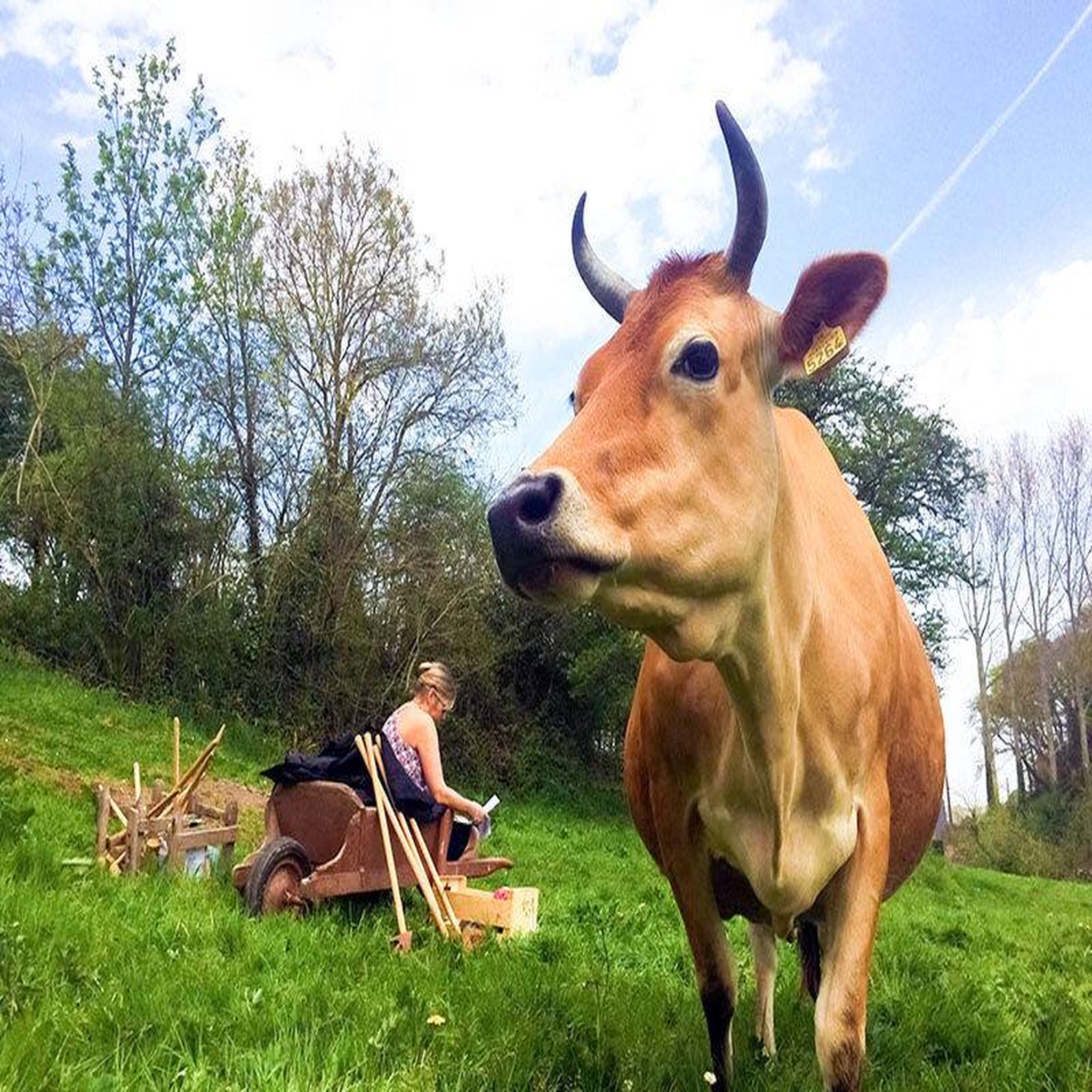 Voir la diapositive 2 : Smartbox Partie de golf en famille ou entre amis au milieu des animaux - Coffret Cadeau Sport & Aventure