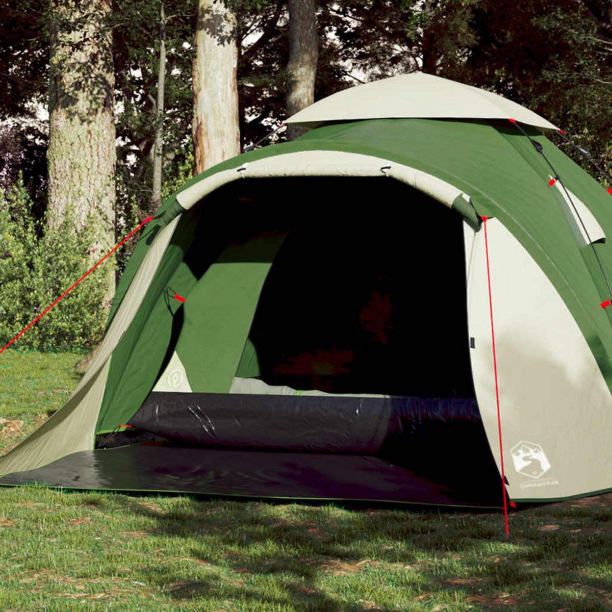 VIDAXL Tente de camping a dome 3 personnes vert liberation rapide