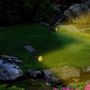 Voir la diapositive 3 : Lumisky Lot de 2 spots solaires projecteurs SPIKY Noir Plastique 100LM