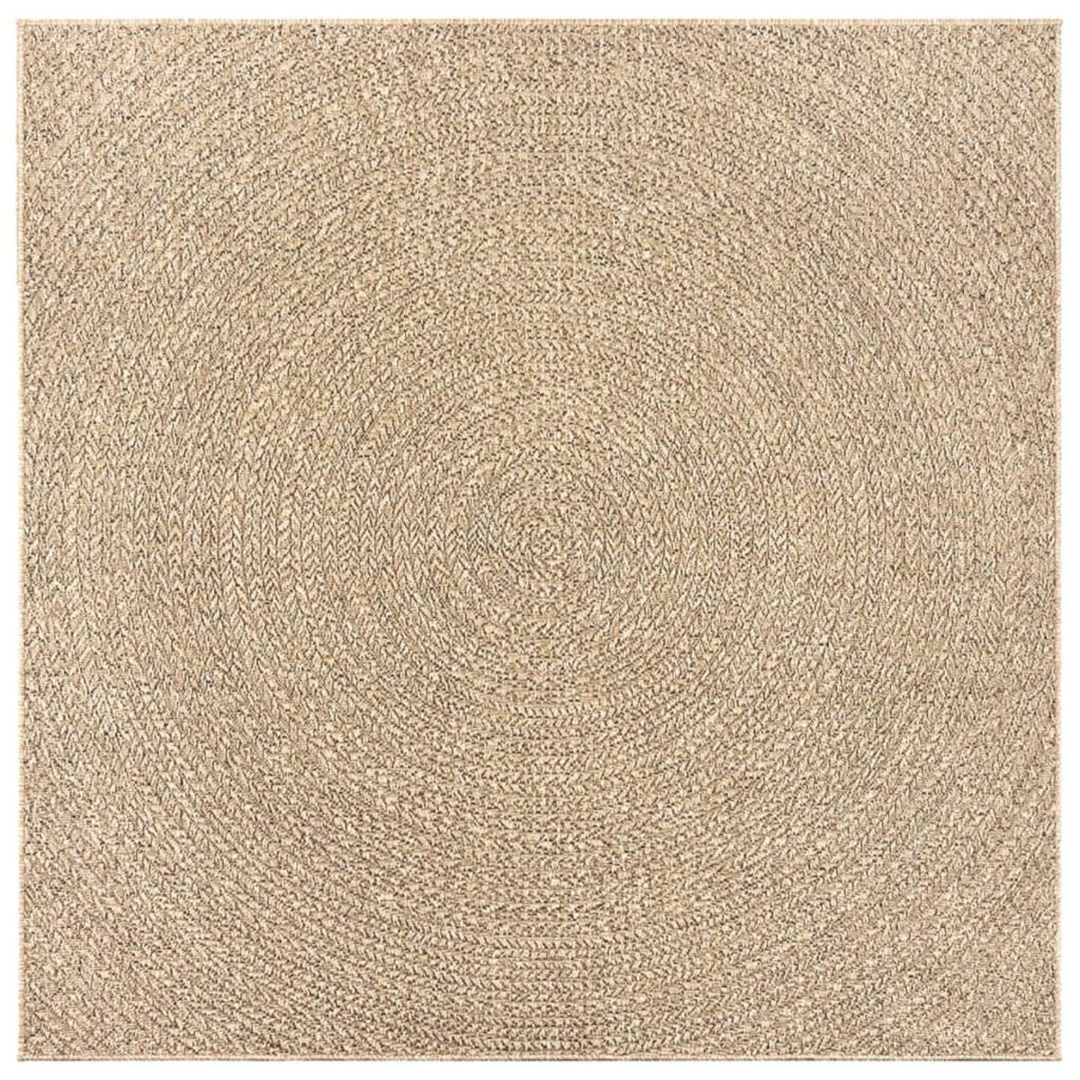 VIDAXL Tapis ZIZUR 240x240 cm aspect de jute interieur et exterieur