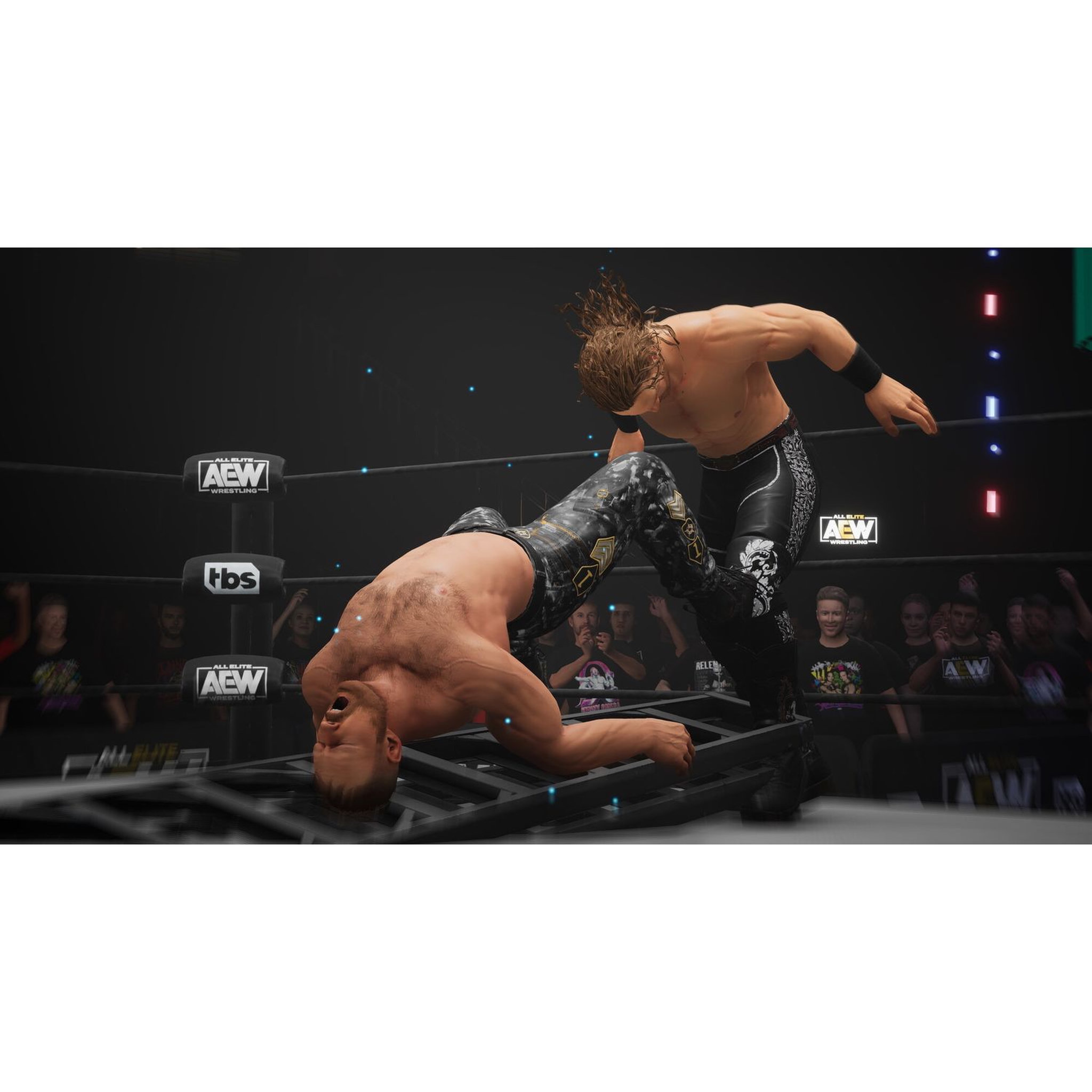 Voir la diapositive 5 : AEW: Fight Forever Nintendo Switch