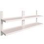 Voir la diapositive 2 : VIDAXL Etageres murales flottantes a 2 niveaux 2 pcs Inox 200x30 cm