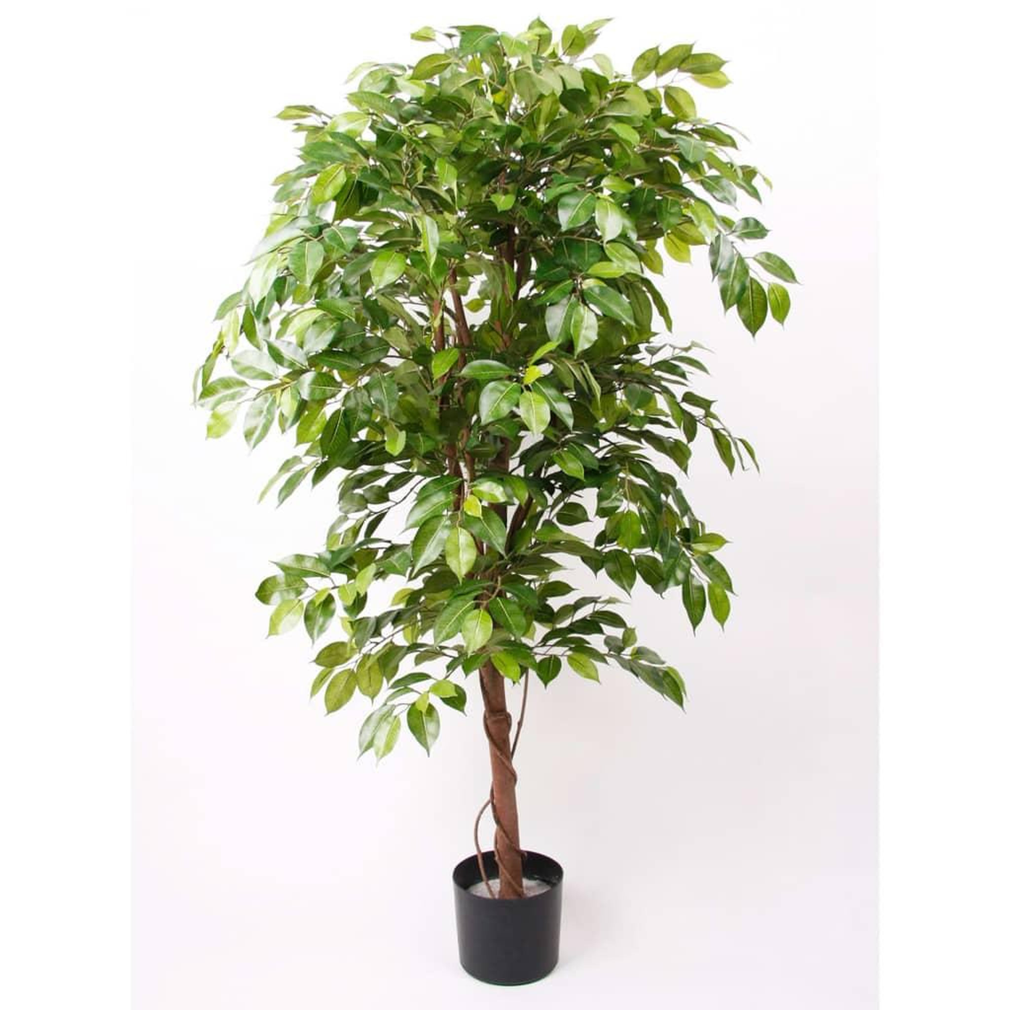 Voir la diapositive 1 : EMERALD Emerald Ficus artificiel Deluxe 140 cm en pot