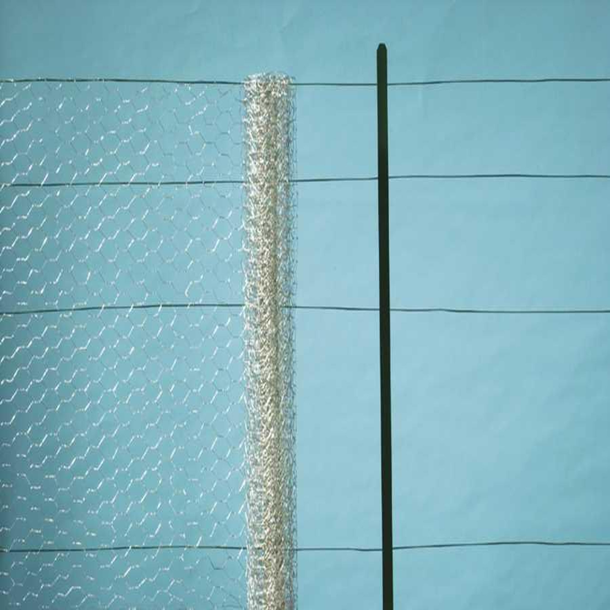Nortene Grillage métal galva triple torsion 4,1cm - 0,5 x 50 m