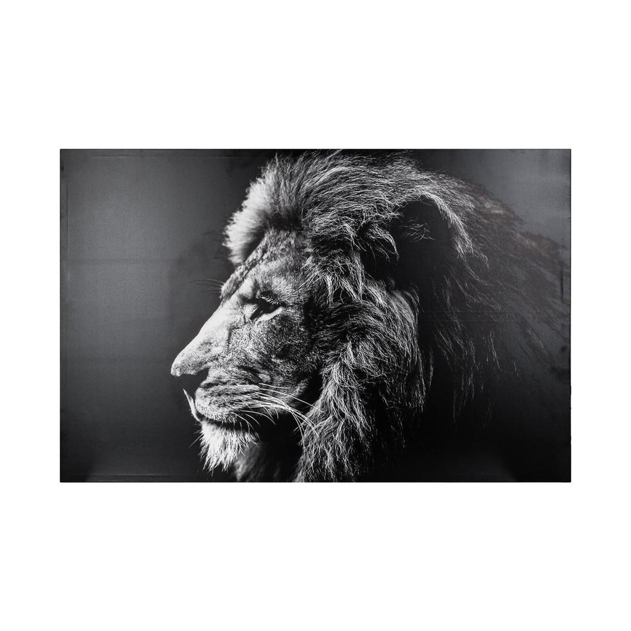 ATMOSPHERA Toile imprimée  lion  78x118cm noir & blanc