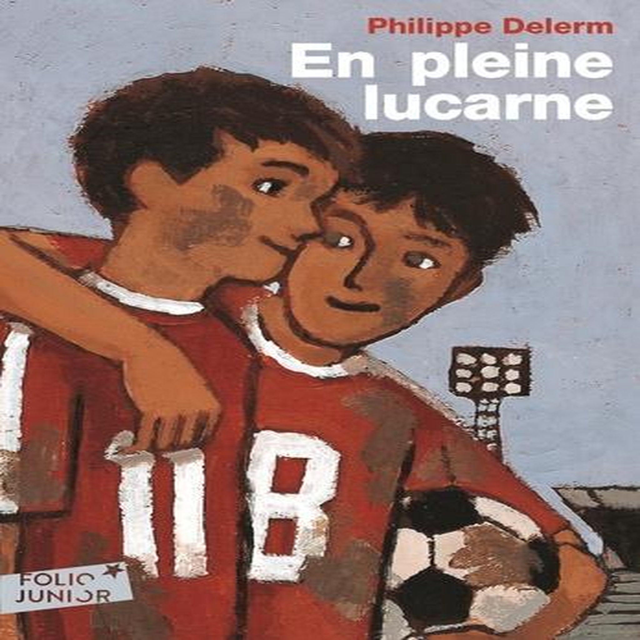 EN PLEINE LUCARNE, Delerm Philippe