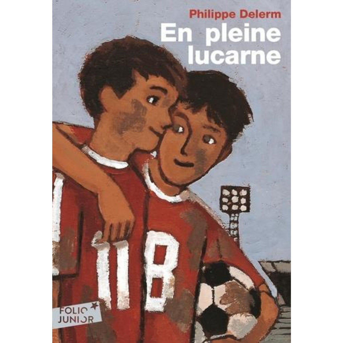 EN PLEINE LUCARNE, Delerm Philippe