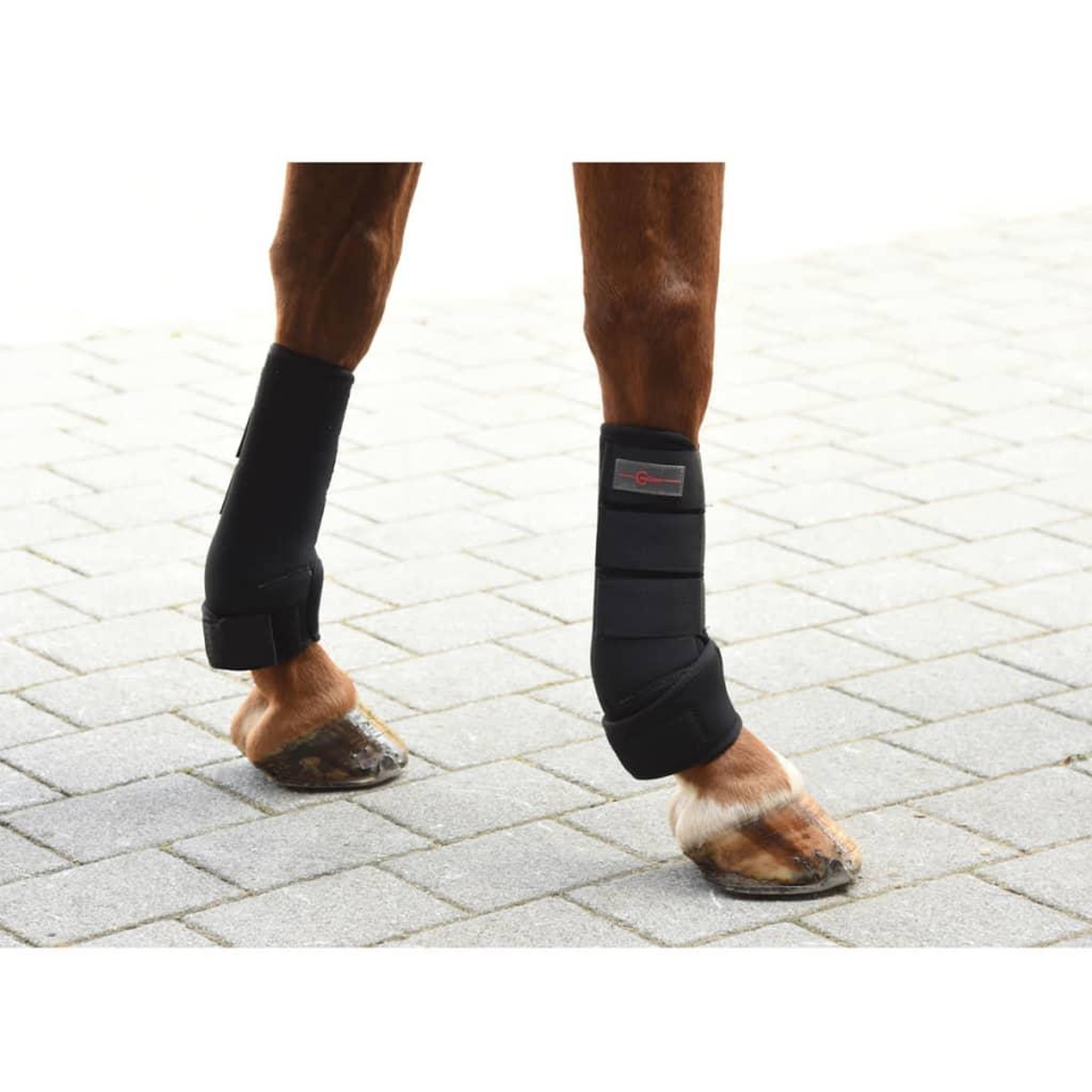 Voir la diapositive 4 : KERBL Kerbl Ensemble de guetre de cheval 4 pcs Cob Noir 320132
