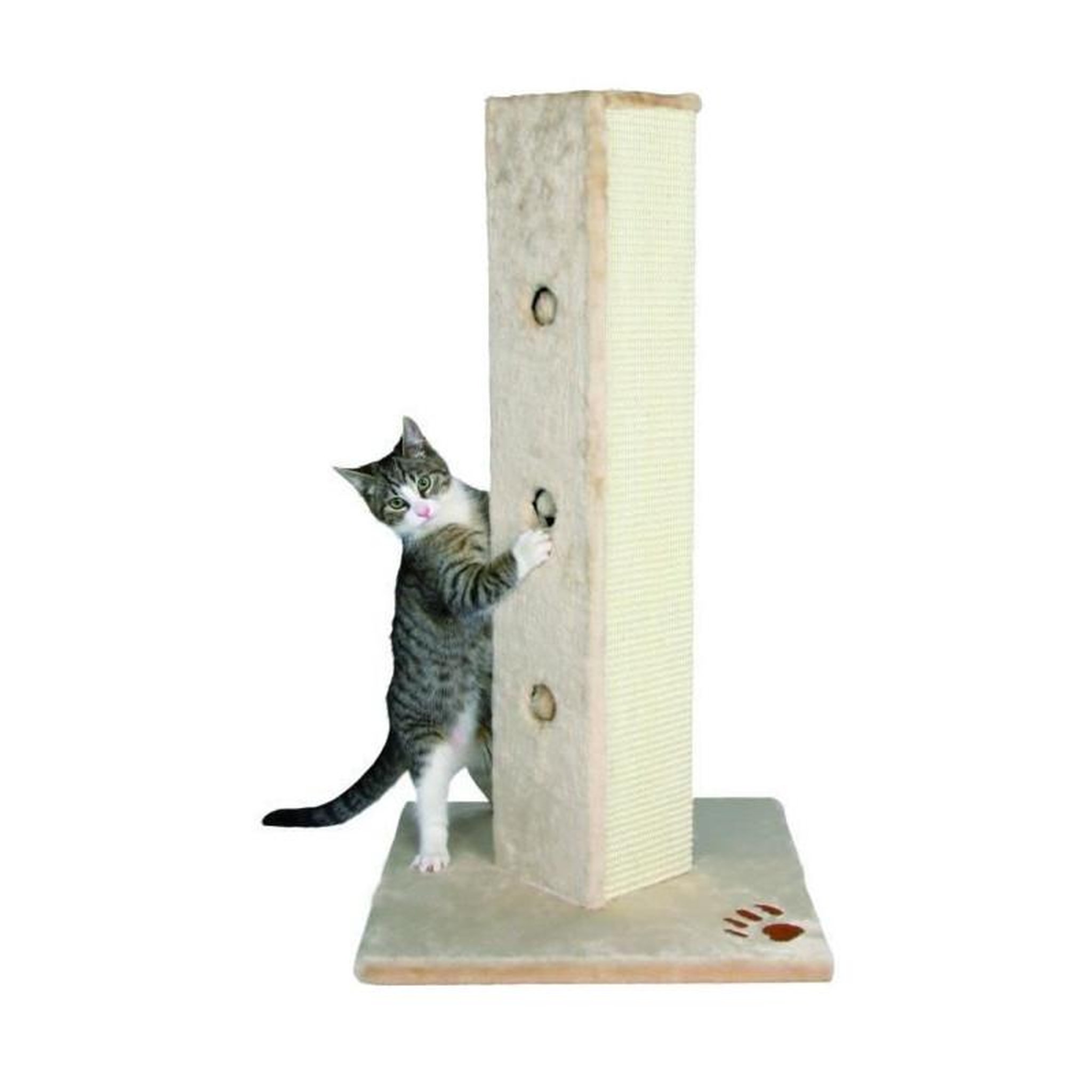 Voir la diapositive 1 : Trixie TRIXIE Soria Griffoir colonne pour chat H 80 cm