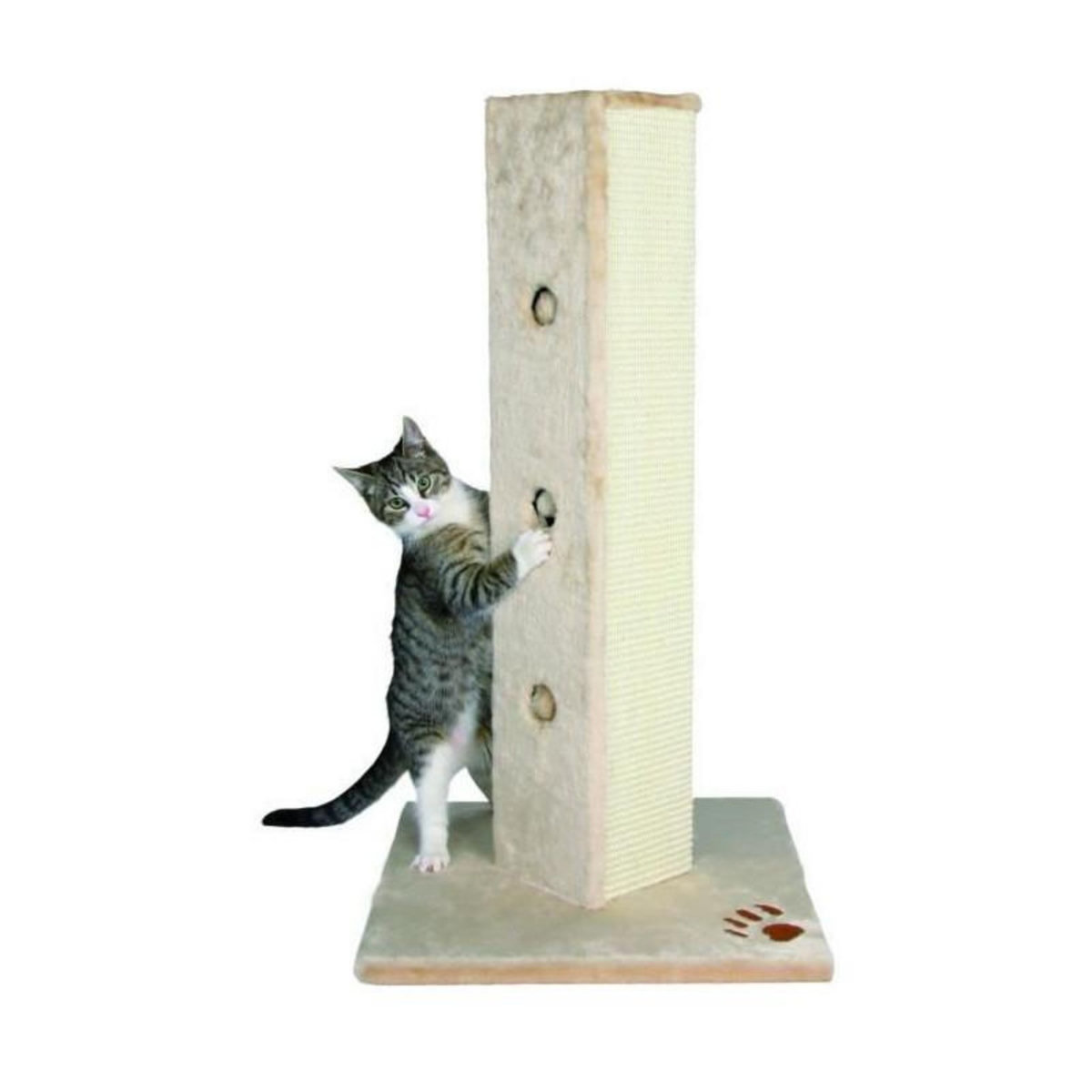 Trixie TRIXIE Soria Griffoir colonne pour chat H 80 cm