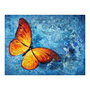 Voir la diapositive 2 : Paris Prix Papier Peint  Fiery Butterfly