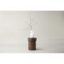 Voir la diapositive 5 : Paris Prix Table d'Appoint Design  Malung  35cm Marron