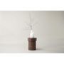 Voir la diapositive 5 : Paris Prix Table d'Appoint Design  Malung  35cm Marron