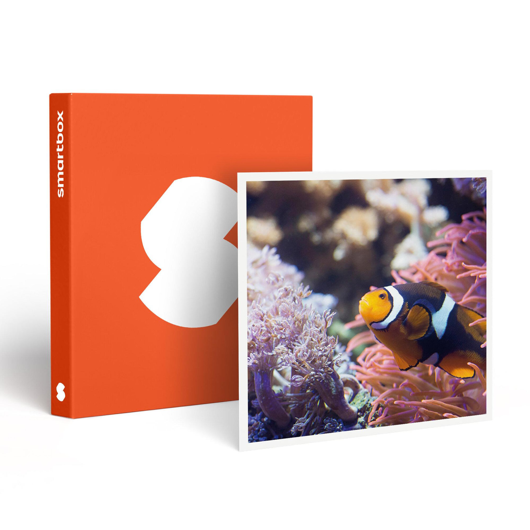 Smartbox Visite de l'aquarium sea life de val d'europe - coffret cadeau sport & aventure