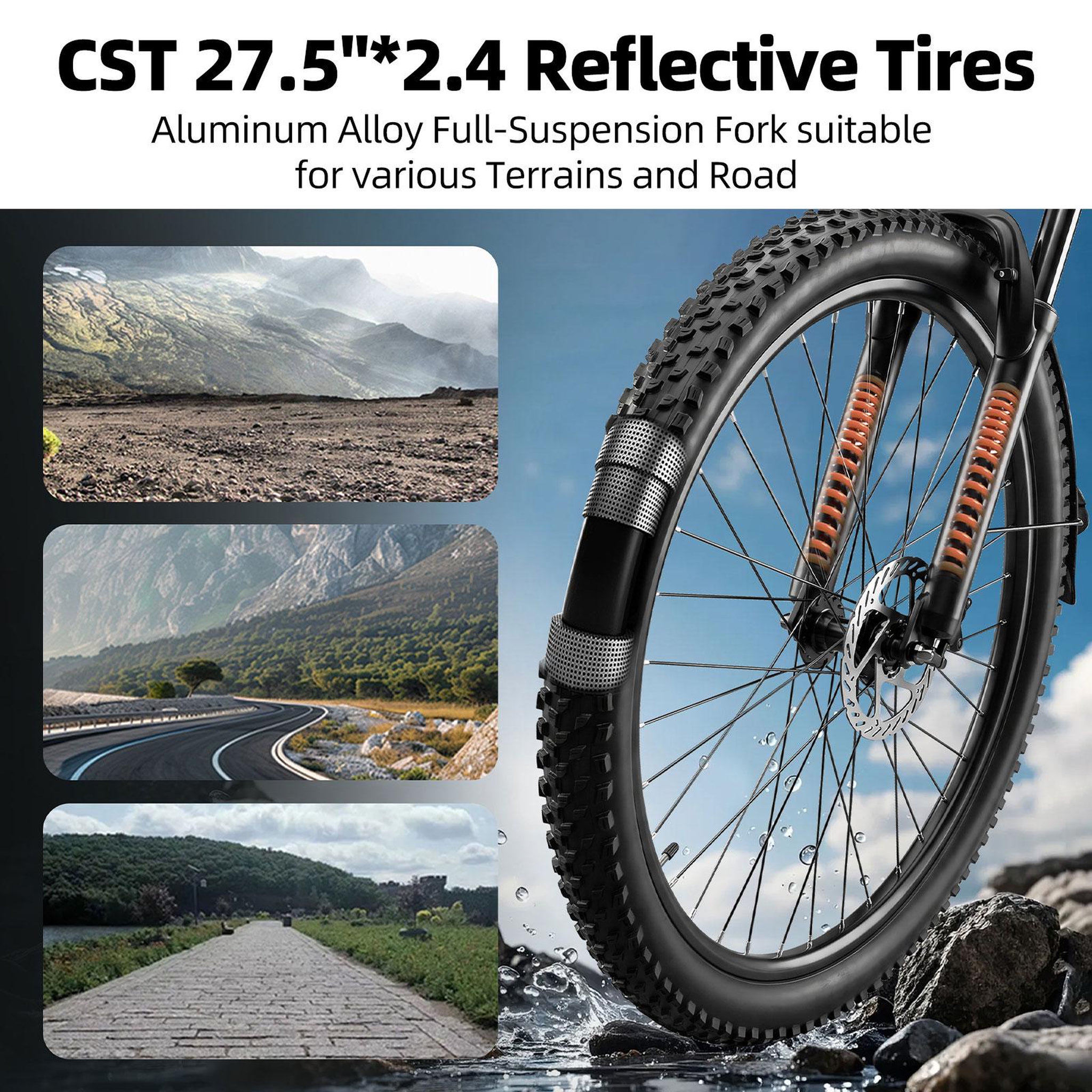 Voir la diapositive 5 : TTGO Vélo électrique TTGO C5 250 W