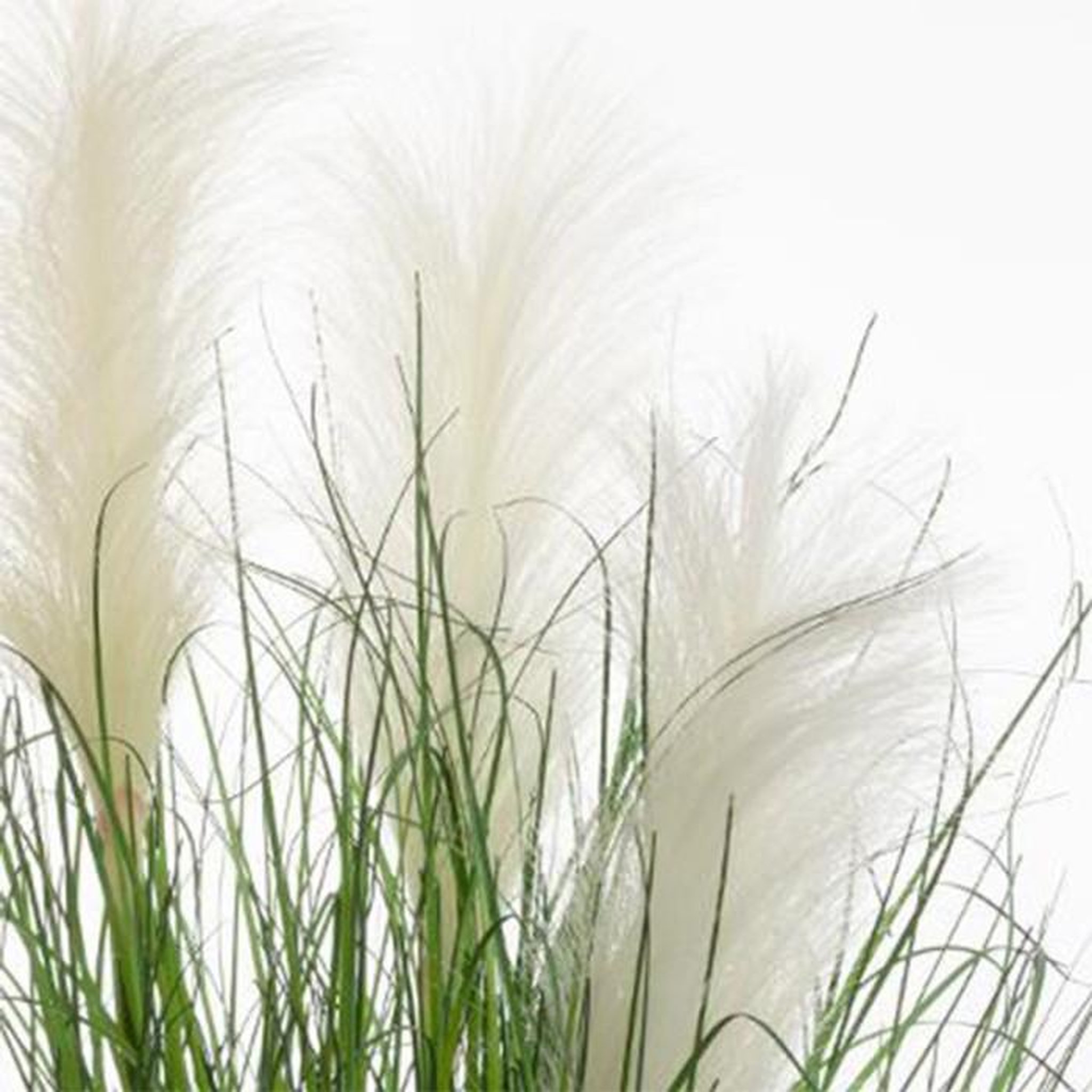 Voir la diapositive 2 : ATMOSPHERA Plante artificielle en pot  herbes folles  70cm vert
