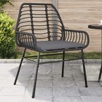 VIDAXL Chaises de jardin lot de 2 avec coussins noir resine tressee