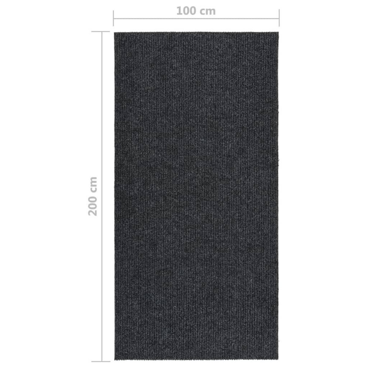 VIDAXL Tapis 100x200 cm Anthracite