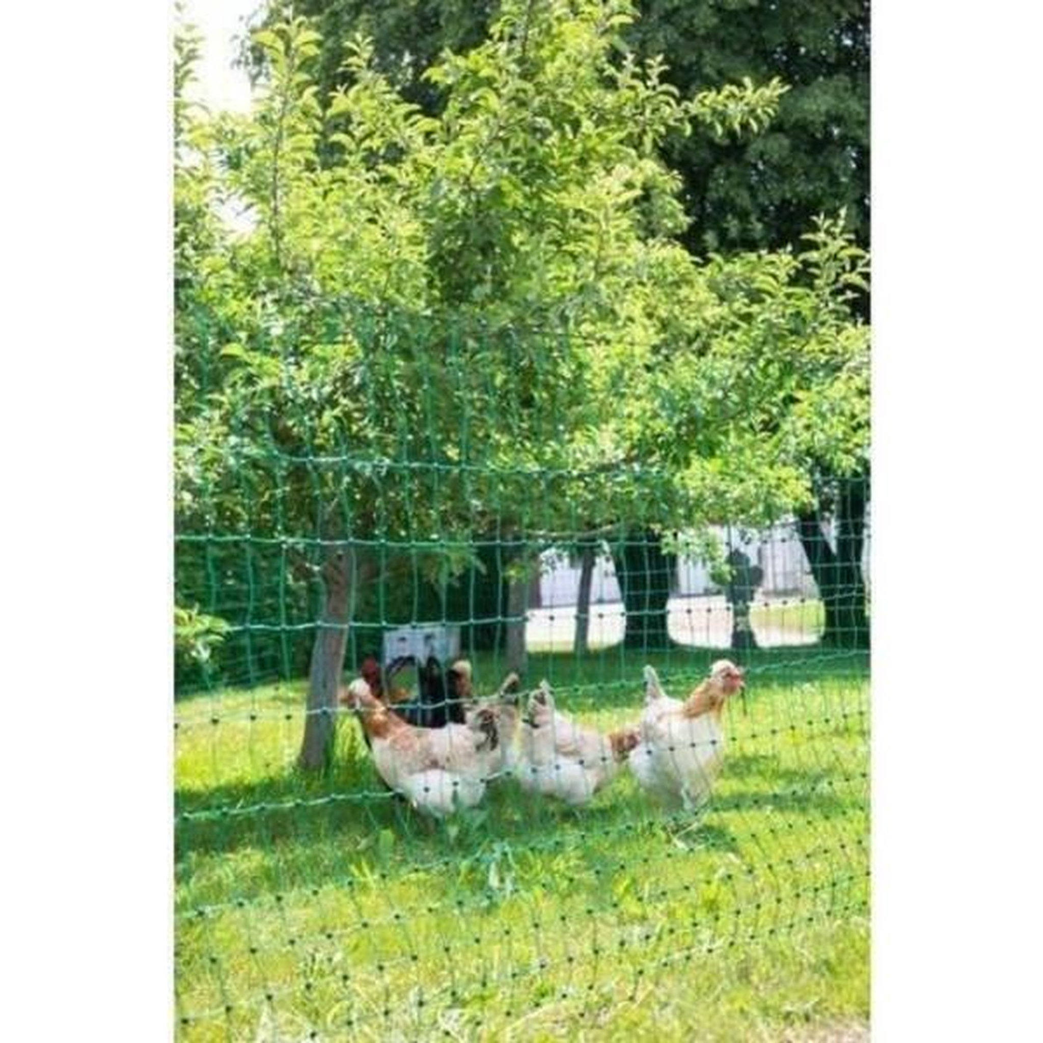 KERBL KERBL - Filet pour les poules 50 m - 106 cm - double pointe - vert - non électrique