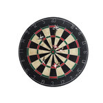 René Pierre Cible avec flechettes pointe acier