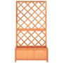 Voir la diapositive 2 : VIDAXL Jardiniere a treillis jardin Marron 70x30x135 cm Bois de sapin