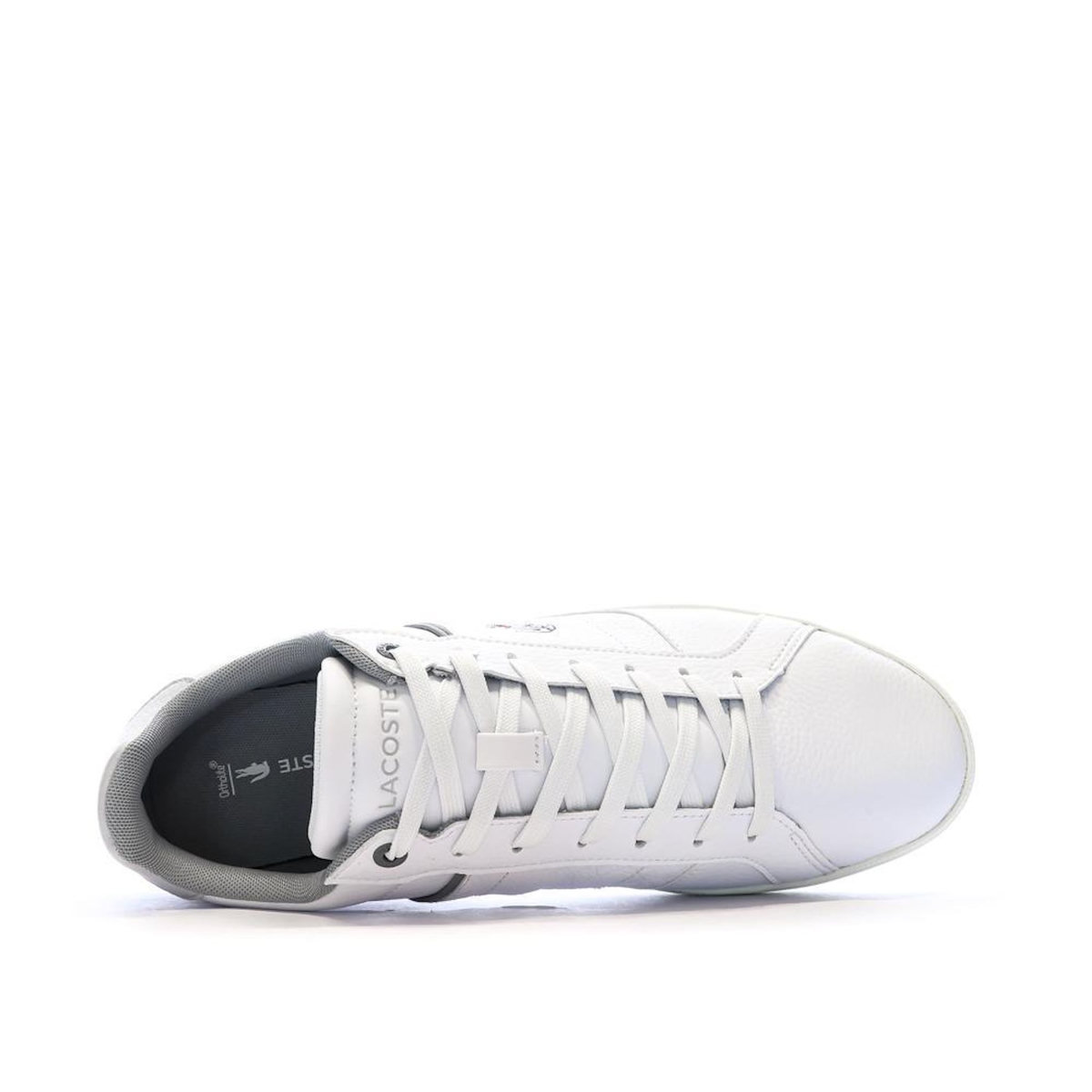 Lacoste Baskets hes/Grises Homme Lacoste Europa