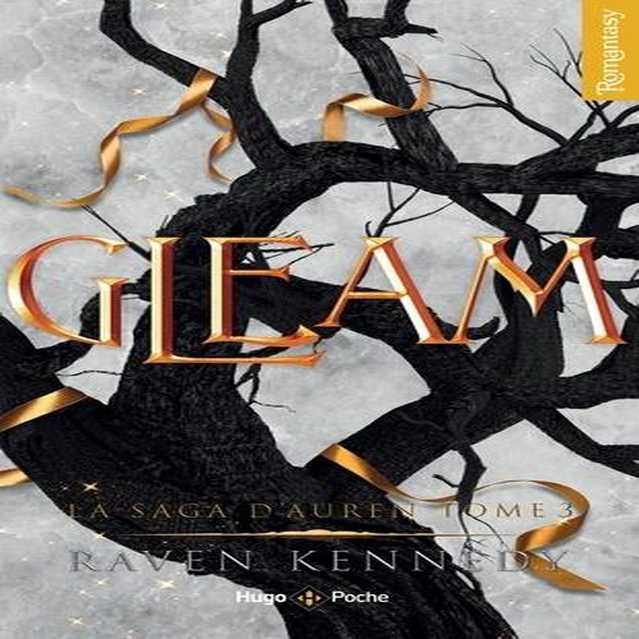 LA SAGA D'AUREN TOME 3 : GLEAM, Kennedy Raven