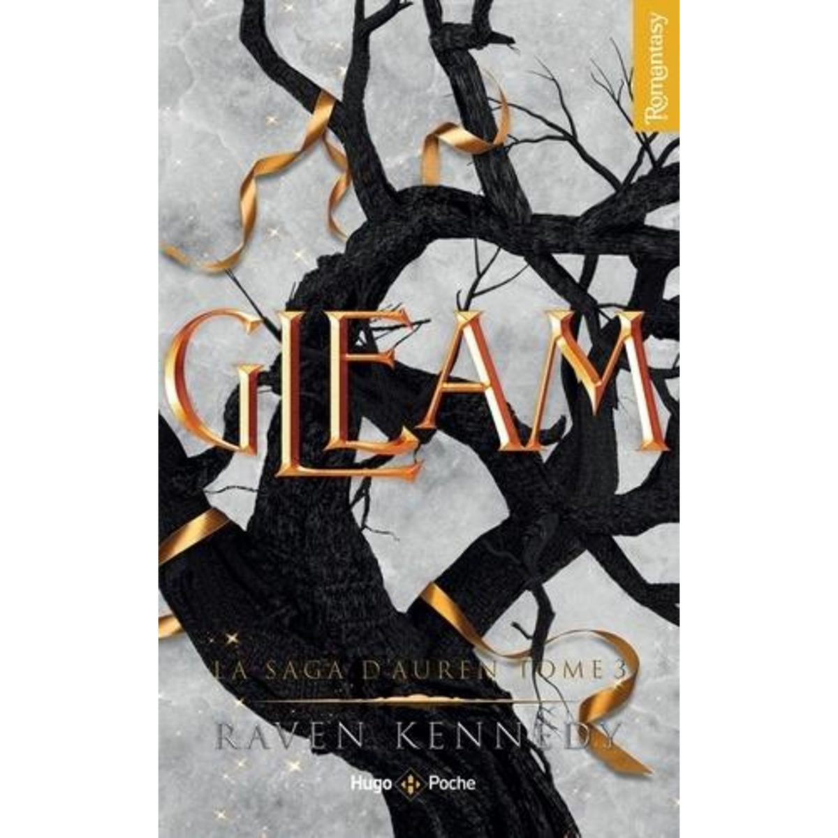 LA SAGA D'AUREN TOME 3 : GLEAM, Kennedy Raven