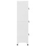 Voir la diapositive 4 : VIDAXL Armoire a casier avec 3 compartiments 38x45x180 cm