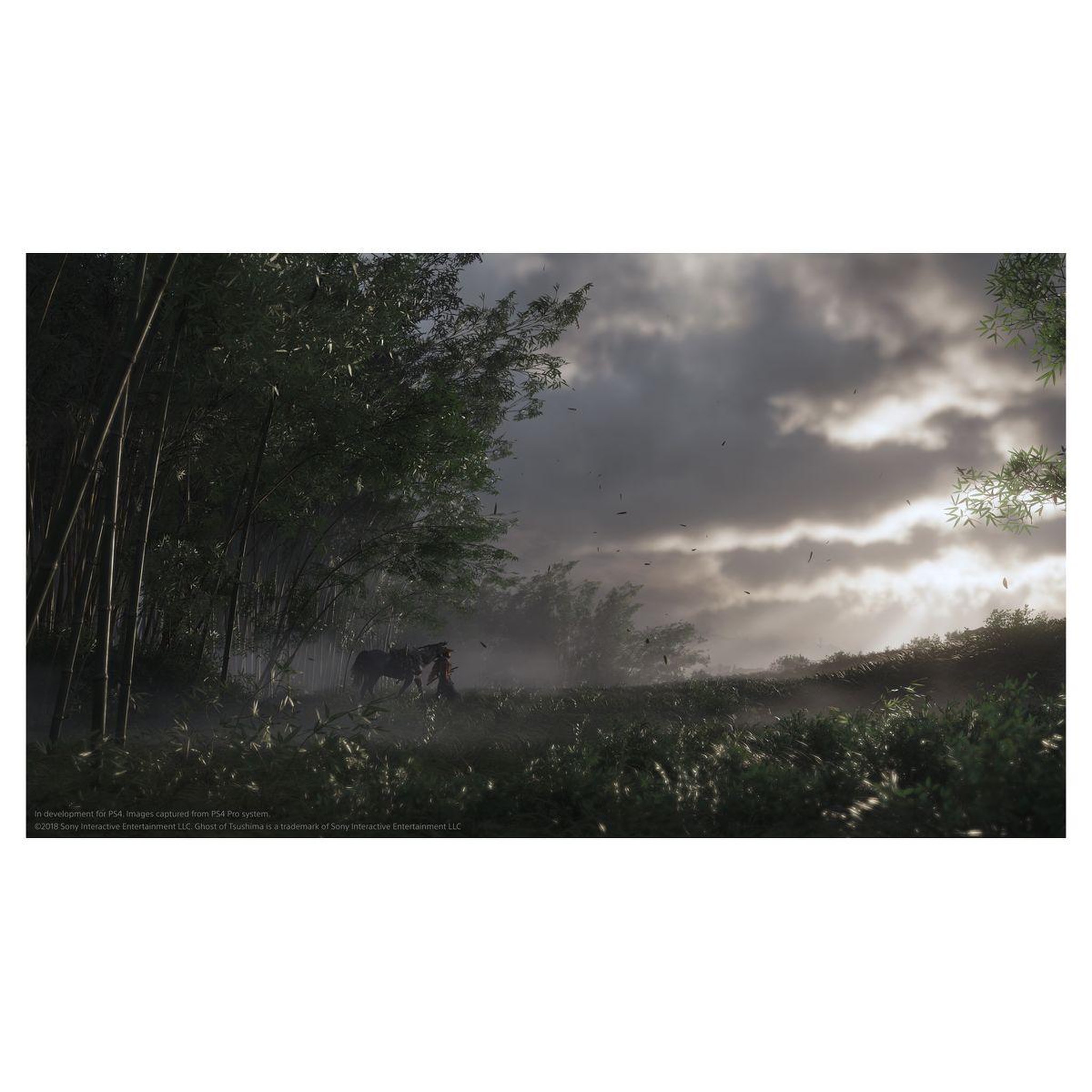Voir la diapositive 5 : SONY Ghost of Tsushima PS4