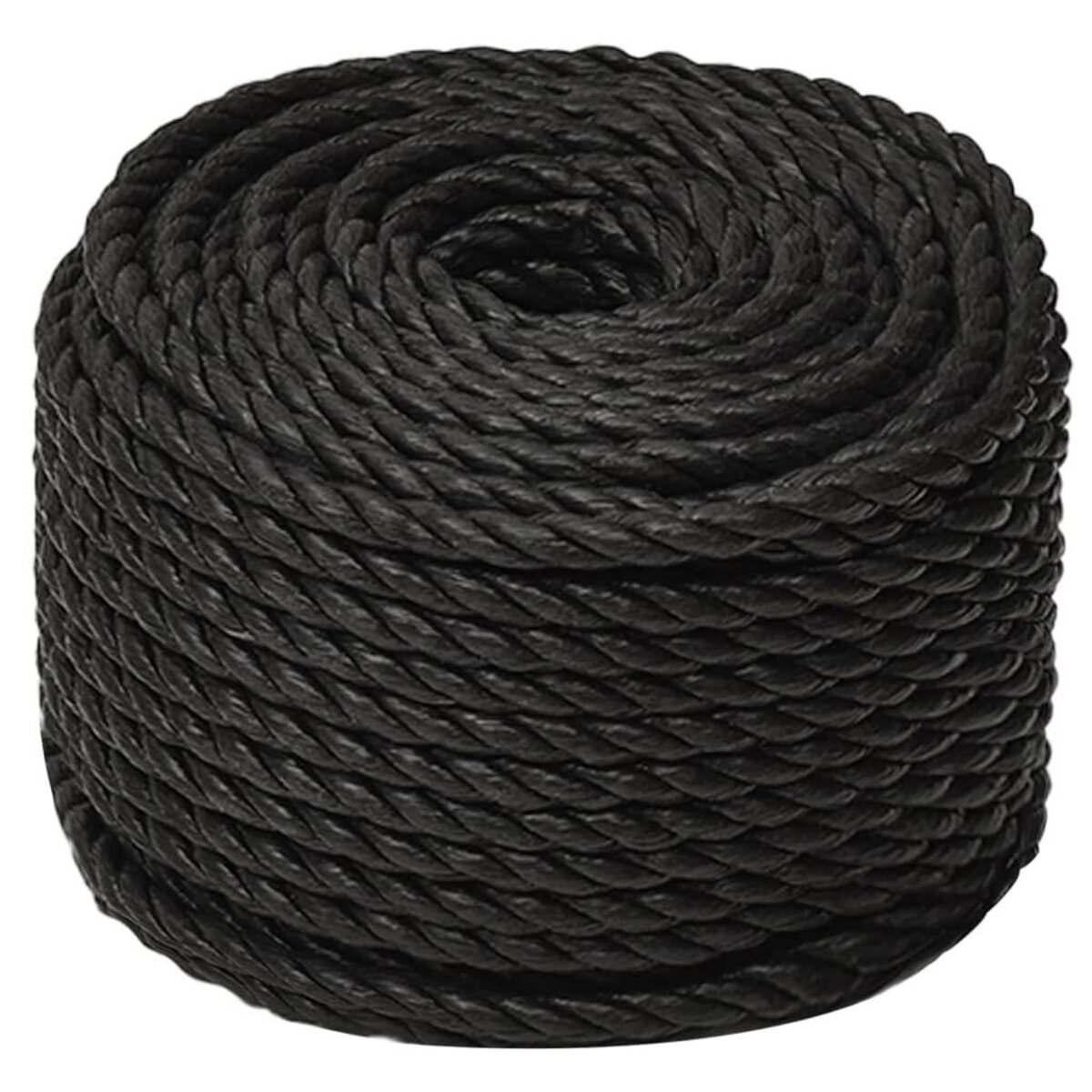 VIDAXL Corde de travail Noir 10 mm 25 m polypropylene