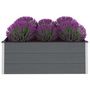 Voir la diapositive 2 : VIDAXL Lit sureleve de jardin WPC 150x100x54 cm Gris
