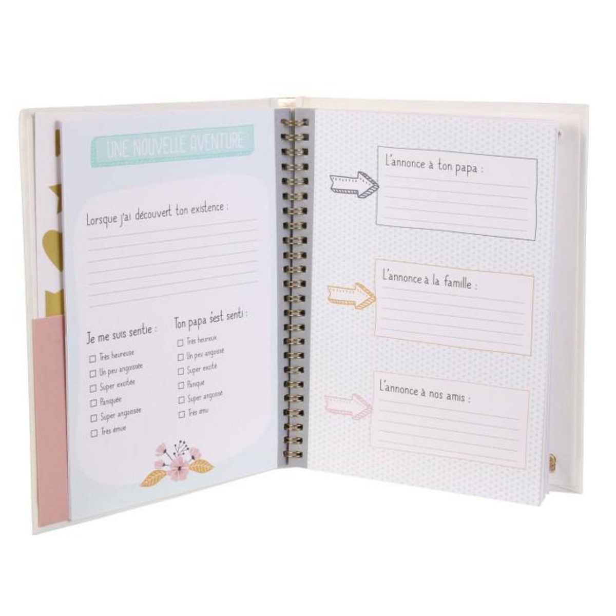 Paris Prix Carnet de Grossesse  52 Pages  16x22cm Blanc