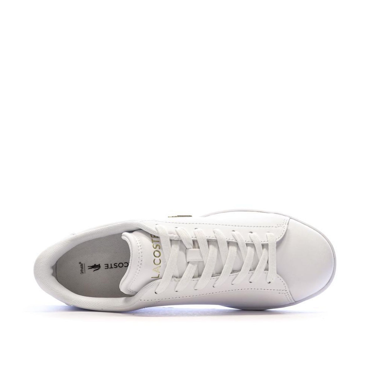 Lacoste Baskets hes Femme  Lacoste Carnaby