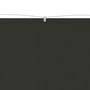 Voir la diapositive 3 : VIDAXL Auvent vertical Anthracite 60x600 cm Tissu oxford
