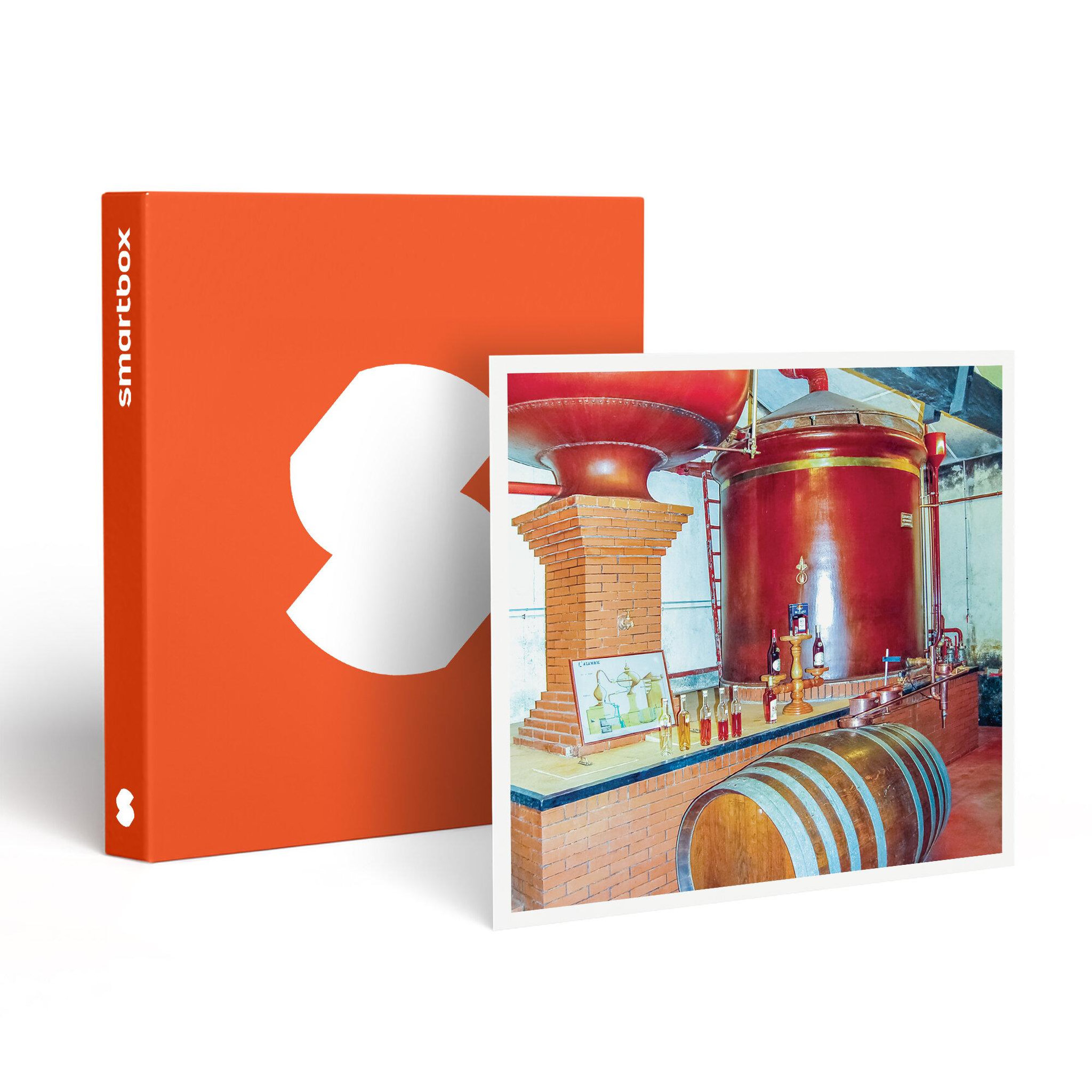 Smartbox Visite de domaine viticole et de musée avec dégustation et coffret de vins - coffret cadeau sport & aventure
