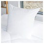 Voir la diapositive 2 : BLEU CALIN Oreiller confort moelleux en coton Bio 
