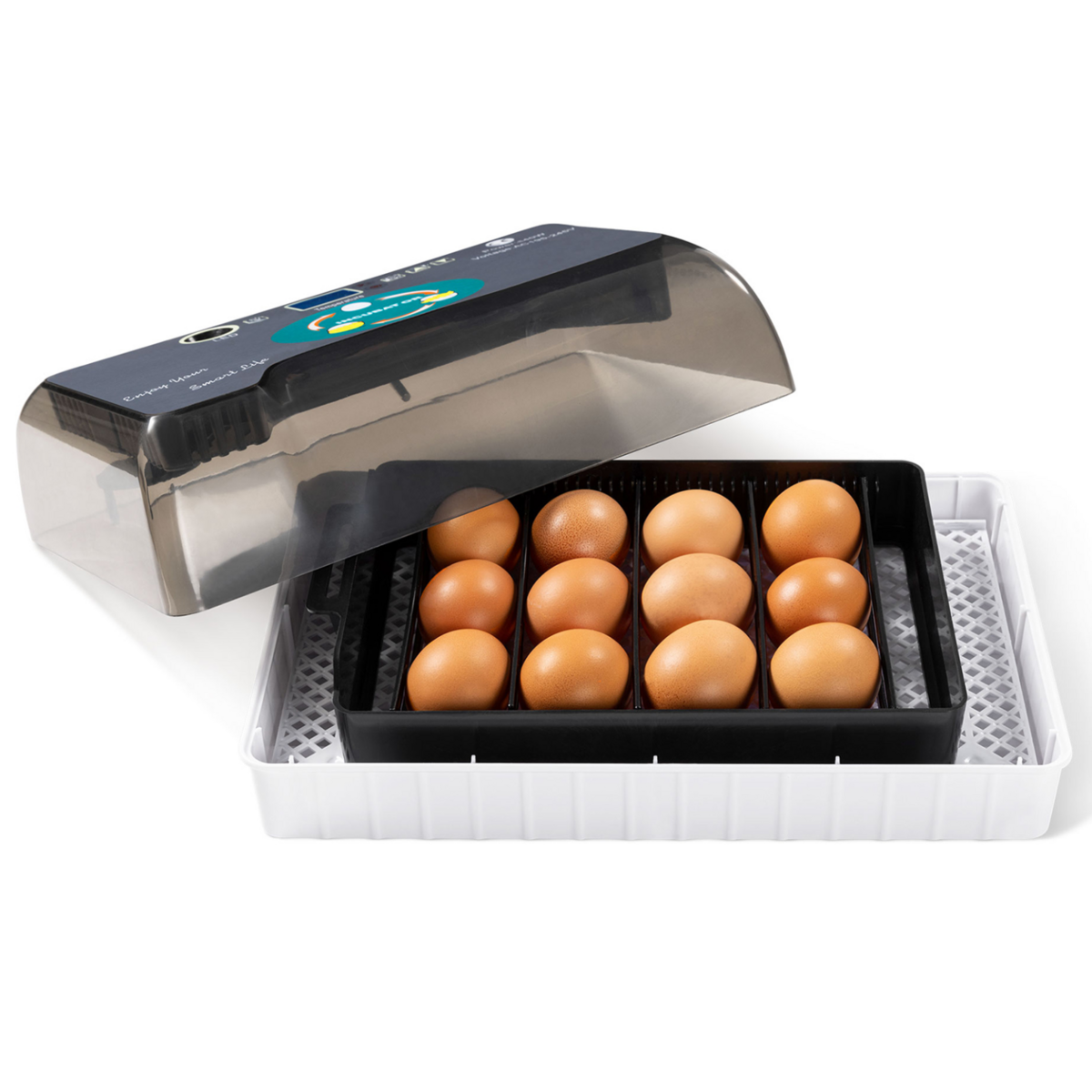 ID MARKET Couveuse automatique 4 à 35 oeufs toutes volailles incubateur autonome mire oeufs