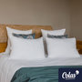 Voir la diapositive 2 : COLAS NORMAND Lot de 2 oreillers 100% écologiques 45×70 cm