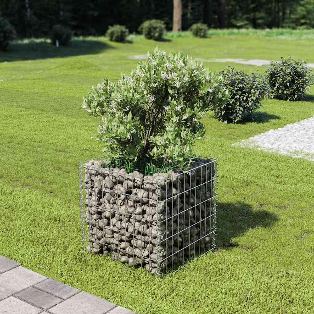 VIDAXL Lit sureleve a gabion Acier galvanise 50x50x50 cm