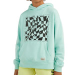 O'NEILL Sweat à Capuche  Amande Garçon O'Neill Checker. Coloris disponibles : Vert